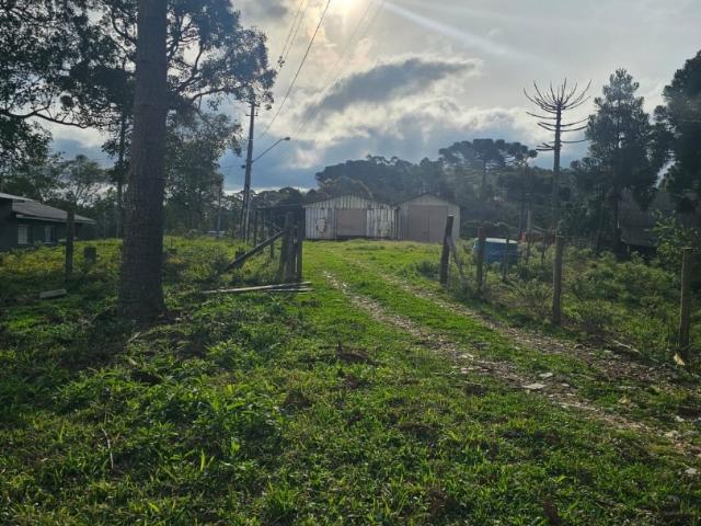 Sítio e chácara venda em Região Geográfica Imediata de Curitiba, Região Metropolitana de Curitiba