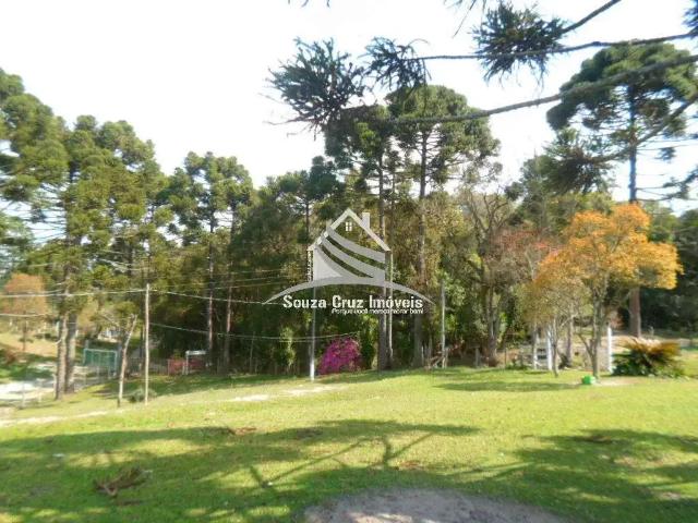 Sítio e chácara venda em Região Geográfica Imediata de Curitiba, Região Metropolitana de Curitiba