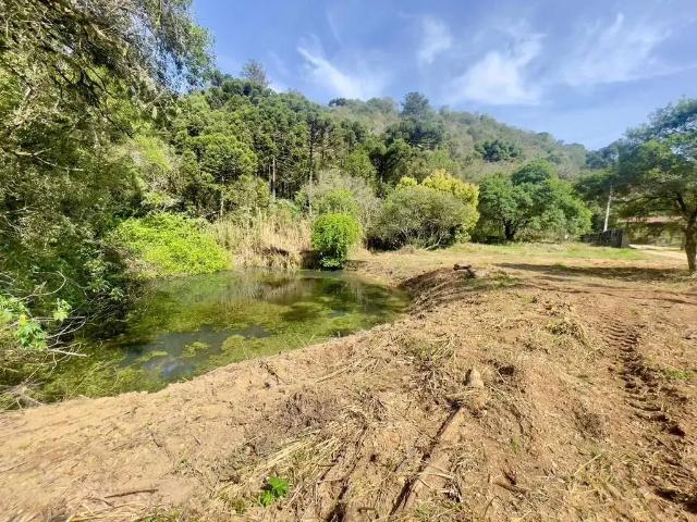 Sítio e chácara venda em Região Geográfica Imediata de Curitiba, Região Metropolitana de Curitiba