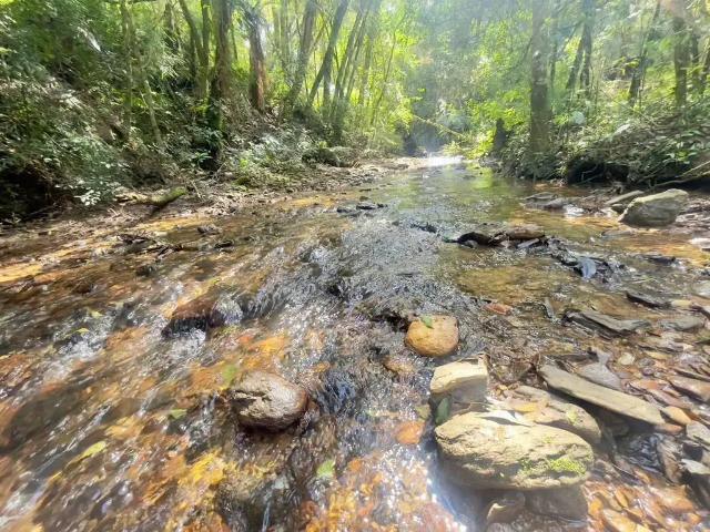 Sítio e chácara venda em Região Geográfica Imediata de Curitiba, Região Metropolitana de Curitiba