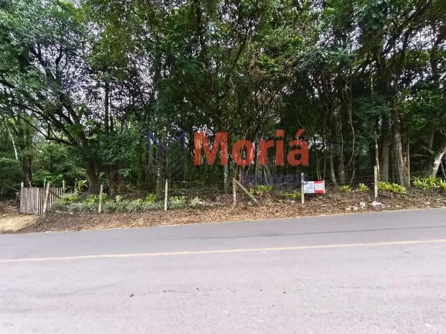 Sítio e chácara venda em Região Geográfica Imediata de Curitiba, Região Metropolitana de Curitiba