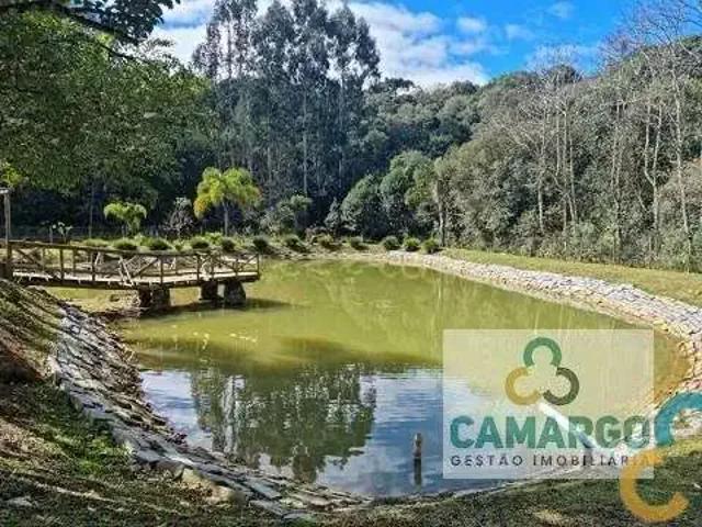 Sítio e chácara venda em Região Geográfica Imediata de Curitiba, Região Metropolitana de Curitiba