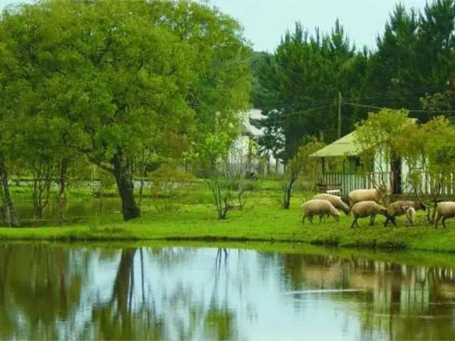 Sítio e chácara venda em Região Geográfica Imediata de Curitiba, Região Metropolitana de Curitiba