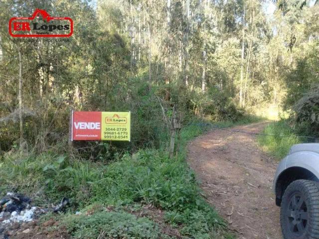 Sítio e chácara venda em Região Geográfica Imediata de Curitiba, Região Metropolitana de Curitiba