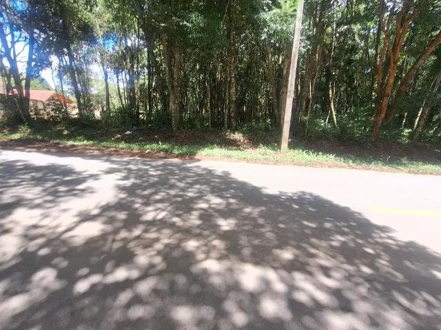 Sítio e chácara venda em Região Geográfica Imediata de Curitiba, Região Metropolitana de Curitiba