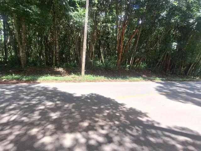 Sítio e chácara venda em Região Geográfica Imediata de Curitiba, Região Metropolitana de Curitiba