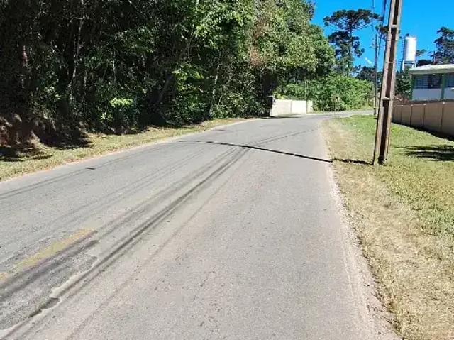 Sítio e chácara venda em Região Geográfica Imediata de Curitiba, Região Metropolitana de Curitiba