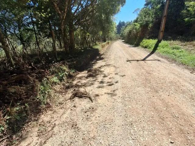 Sítio e chácara venda em Região Geográfica Imediata de Curitiba, Região Metropolitana de Curitiba