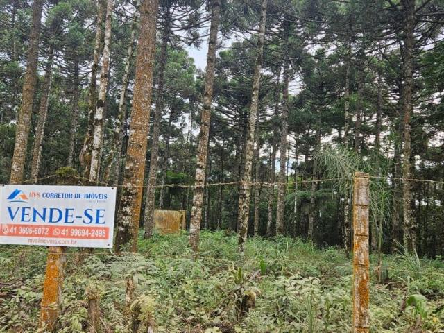Sítio e chácara venda em Região Geográfica Imediata de Curitiba, Região Metropolitana de Curitiba