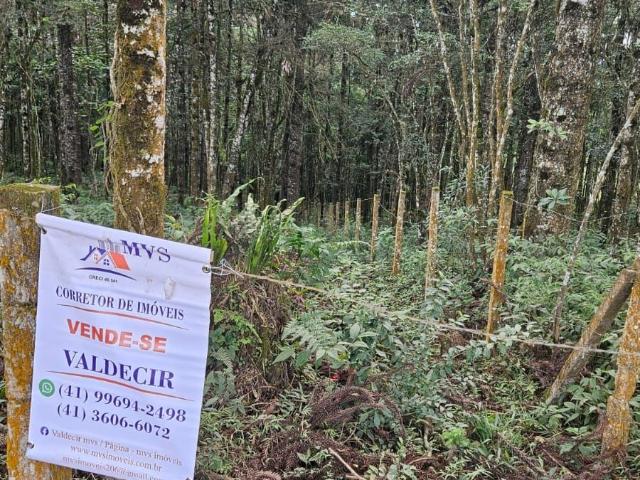 Sítio e chácara venda em Região Geográfica Imediata de Curitiba, Região Metropolitana de Curitiba