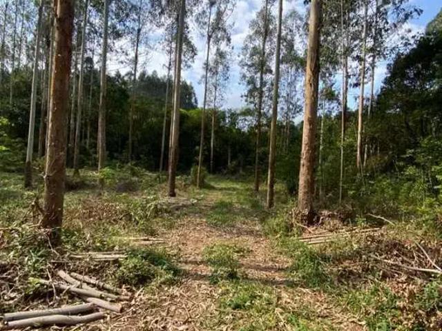Sítio e chácara venda em Região Geográfica Imediata de Curitiba, Região Metropolitana de Curitiba