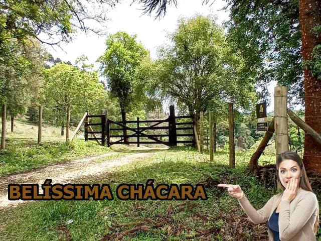 Sítio e chácara venda em Região Geográfica Imediata de Curitiba, Região Metropolitana de Curitiba