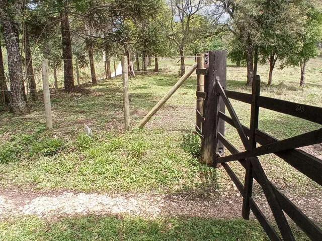Sítio e chácara venda em Região Geográfica Imediata de Curitiba, Região Metropolitana de Curitiba