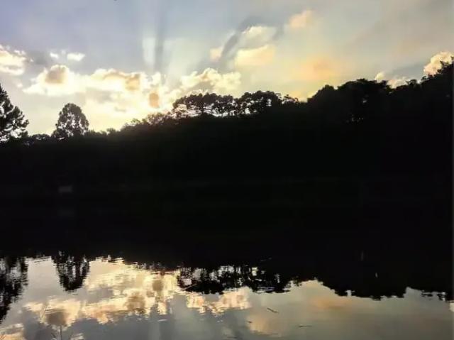Sítio e chácara venda em Região Geográfica Imediata de Curitiba, Região Metropolitana de Curitiba