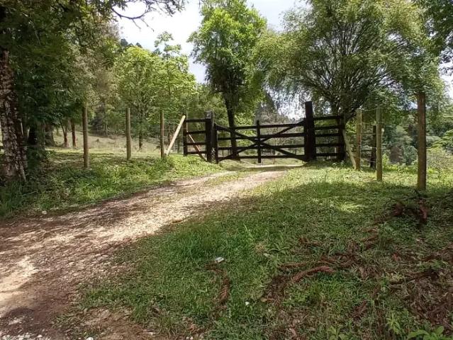 Sítio e chácara venda em Região Geográfica Imediata de Curitiba, Região Metropolitana de Curitiba