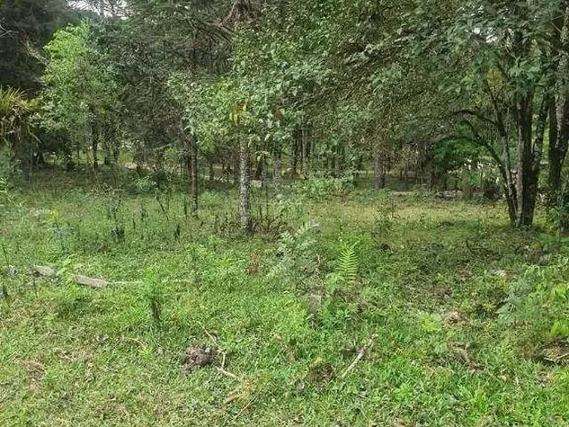 Sítio e chácara venda em Região Geográfica Imediata de Curitiba, Região Metropolitana de Curitiba
