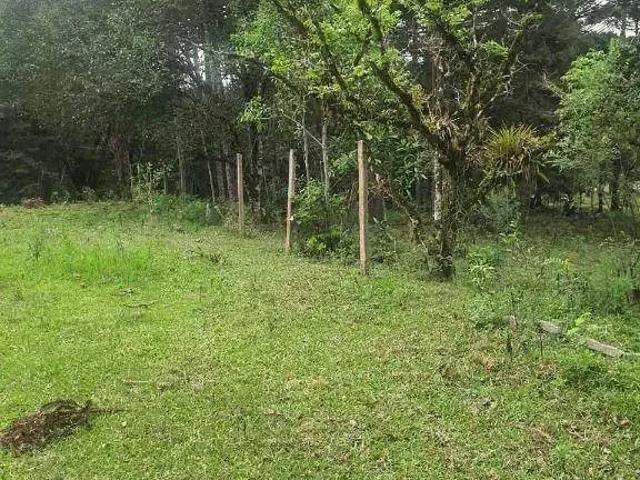 Sítio e chácara venda em Região Geográfica Imediata de Curitiba, Região Metropolitana de Curitiba