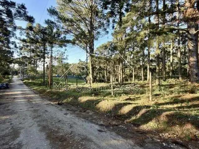 Sítio e chácara venda em Região Geográfica Imediata de Curitiba, Região Metropolitana de Curitiba
