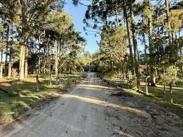 Sítio e chácara venda em Região Geográfica Imediata de Curitiba, Região Metropolitana de Curitiba