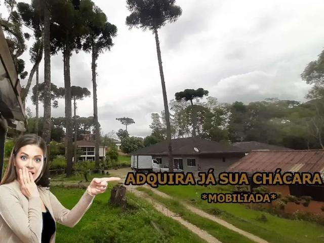 Sítio e chácara venda em Região Geográfica Imediata de Curitiba, Região Metropolitana de Curitiba