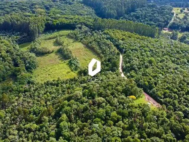 Sítio e chácara venda em Região Geográfica Imediata de Curitiba, Região Metropolitana de Curitiba