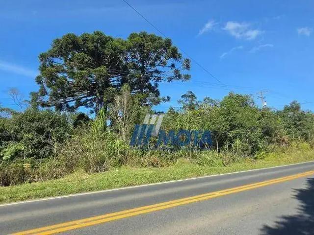 Sítio e chácara venda em Região Geográfica Imediata de Curitiba, Região Metropolitana de Curitiba