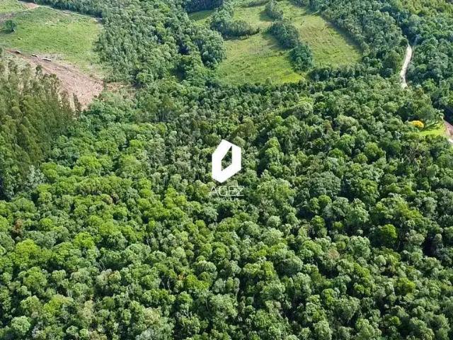 Sítio e chácara venda em Região Geográfica Imediata de Curitiba, Região Metropolitana de Curitiba