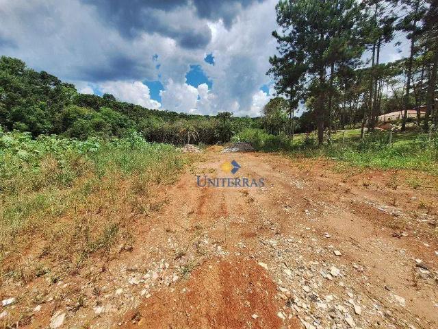 Sítio e chácara venda em São Dimas, Campina Grande do Sul