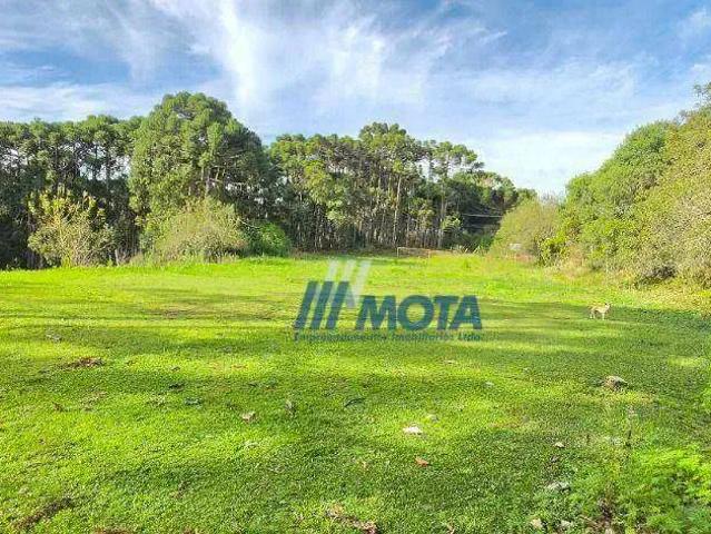 Sítio e chácara venda em Região Geográfica Imediata de Curitiba, Região Metropolitana de Curitiba