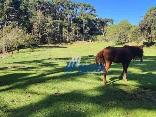 Sítio e chácara venda em Região Geográfica Imediata de Curitiba, Região Metropolitana de Curitiba