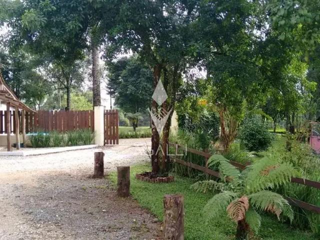 Sítio e chácara venda em Região Geográfica Imediata de Curitiba, Região Metropolitana de Curitiba