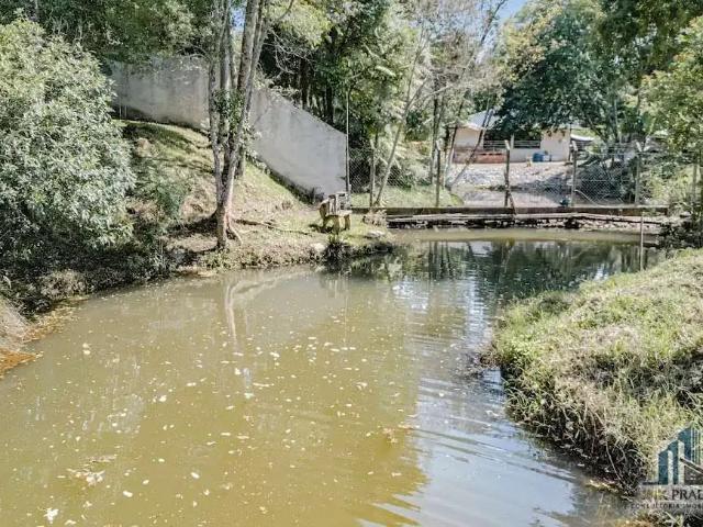 Sítio e chácara venda em Região Geográfica Imediata de Curitiba, Região Metropolitana de Curitiba