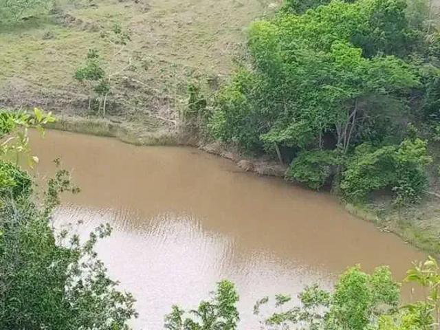 Sítio e chácara venda em Conceição da Barra, Região Sudeste