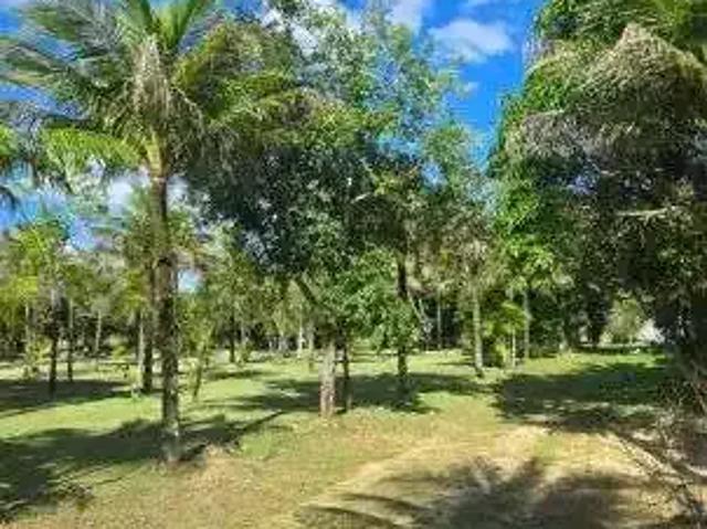 Sítio e chácara venda em Região Geográfica Imediata de Macaé-Rio das Ostras, Conceição de Macabu