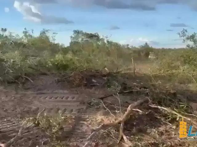 Sítio e chácara venda em Região Geográfica Imediata de Dianópolis, Conceição do Tocantins