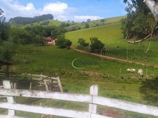 Sítio e chácara venda em Conceição dos Ouros