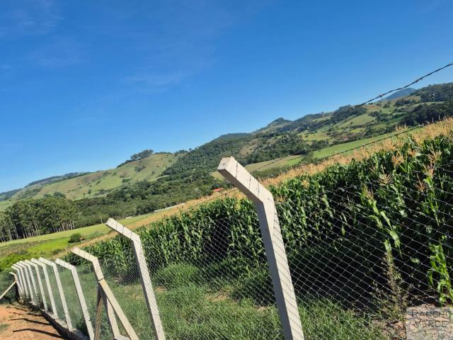 Sítio e chácara venda em Conceição dos Ouros