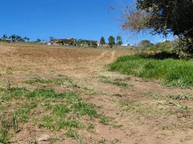 Sítio e chácara venda em Conceição dos Ouros