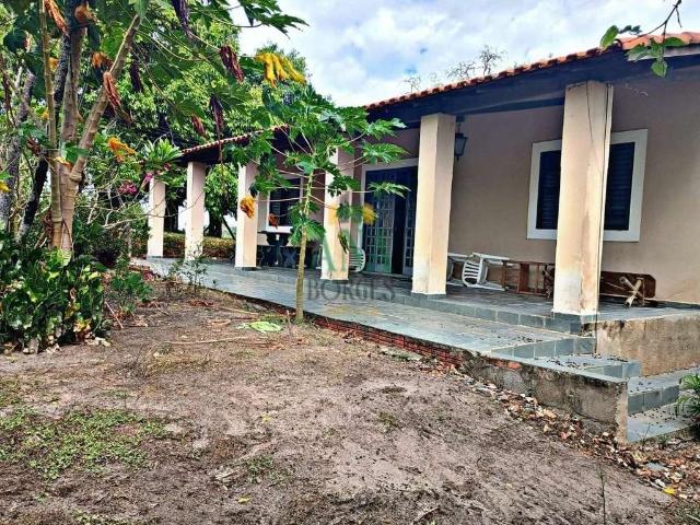 Sítio e chácara venda em Conchas