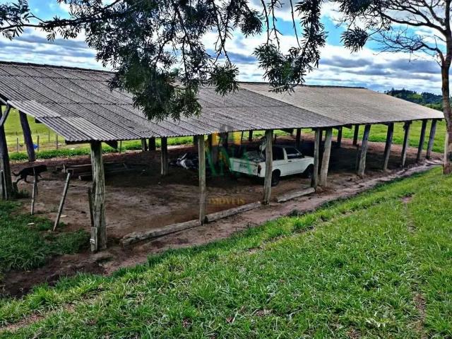 Sítio e chácara venda em Região Imediata de Botucatu, Conchas