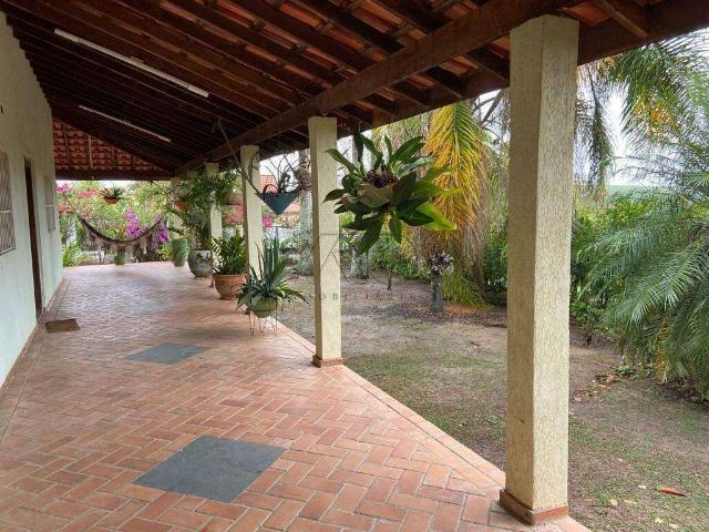 Sítio e chácara venda em Centro, Conchas