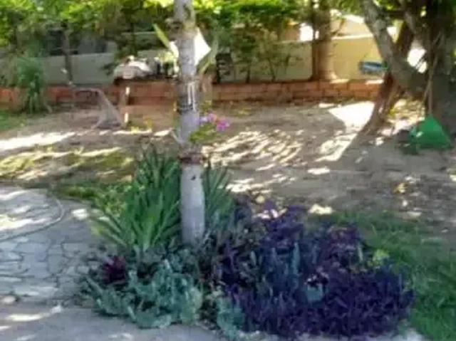 Sítio e chácara venda em Conchas