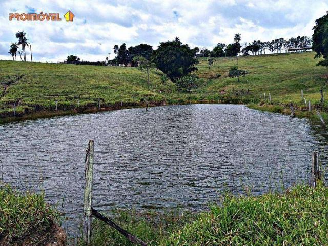 Sítio e chácara venda em Centro, Conchas