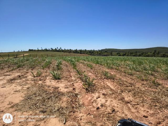Sítio e chácara venda em Conchas, São Paulo