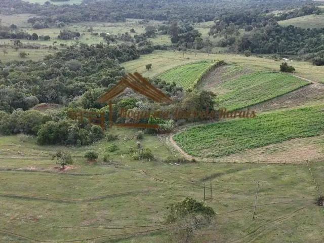 Sítio e chácara venda em Região Imediata de Botucatu, Conchas