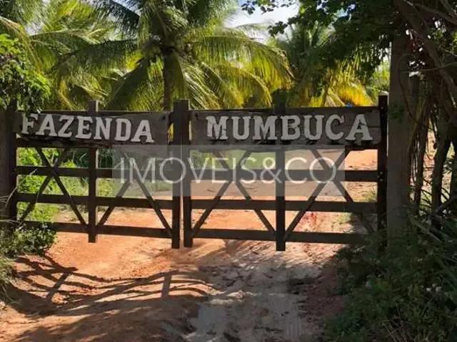 Sítio e chácara venda em Região Geográfica Imediata de Alagoinhas, Região Nordeste