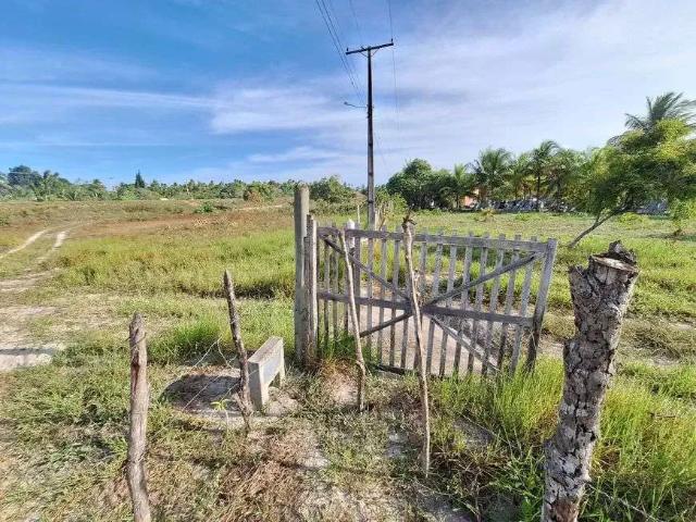 Sítio e chácara venda em Região Imediata de São José do Rio Preto, Região Metropolitana de São José do Rio Preto