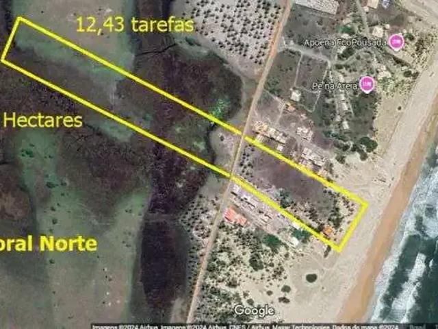 Sítio e chácara venda em Região Geográfica Imediata de Alagoinhas, Região Nordeste