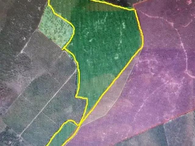 Sítio e chácara venda em Região Geográfica Imediata de Alagoinhas, Região Nordeste