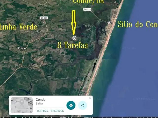 Sítio e chácara venda em Região Geográfica Imediata de Alagoinhas, Região Nordeste